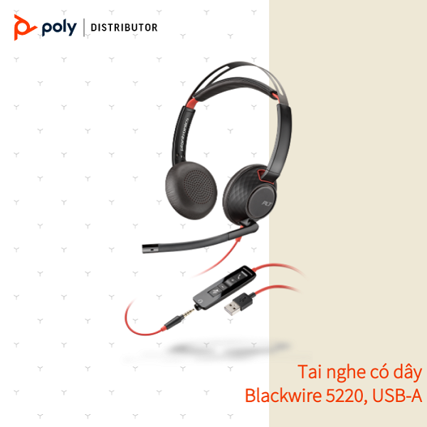 Tai nghe chụp tai có dây tích hợp Mico khử tiếng ồn Plantronics Blackwire 5220 USB Type A/C