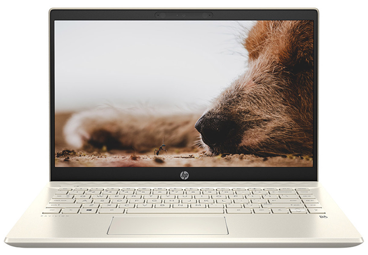 Laptop HP Pavilion 14-dv0534TU 4P5G3PA (Core i7-1165G7 | 8GB | 512GB | Intel Iris Xe | 14 Inch FHD | Win 10 | Warm Gold)