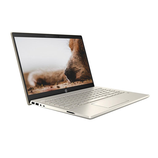 Laptop HP Pavilion 14-dv0510TU 46L79PA (Core i5-1135G7 | 8GB | 512GB | Intel Iris Xe | 14 Inch FHD | Win 11 | Vàng | Phiên bản mới Win 11)