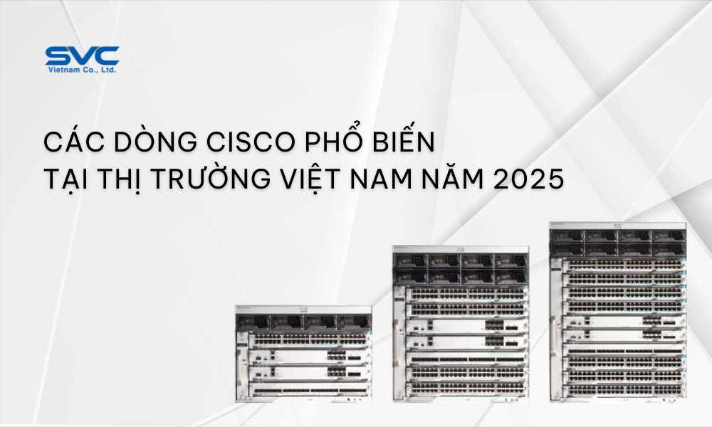 Top các dòng Cisco Switch phổ biến tại Việt Nam 2025