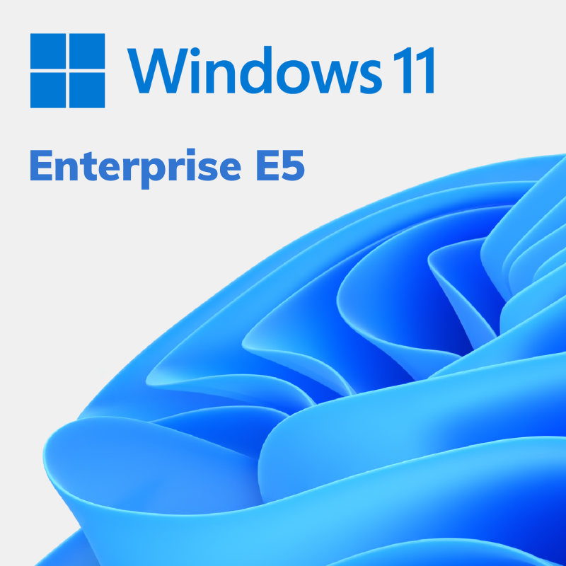Window Enterprise E5